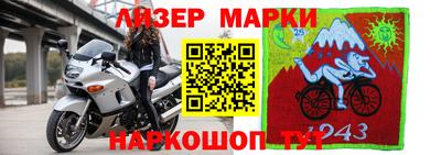 хмурый Донской