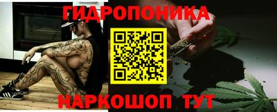 сатива Ставрополь