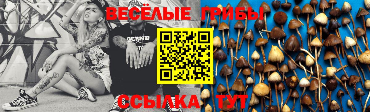 Псилоцибиновые грибы MAGIC MUSHROOMS Нефтекумск
